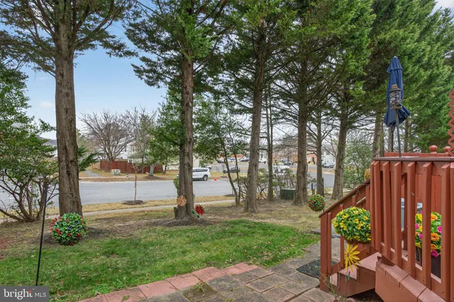 a view of a park with large trees
