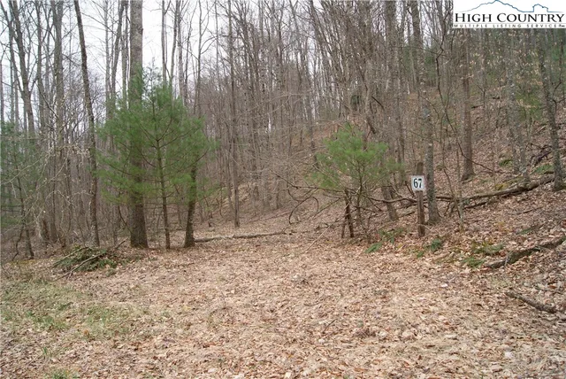 $20,700 | Lot 67 Laurel Mountain Drive, Sparta, NC 28675