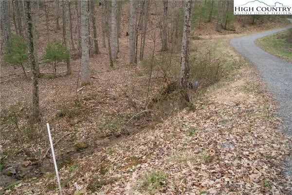 $20,700 | Lot 67 Laurel Mountain Drive, Sparta, NC 28675