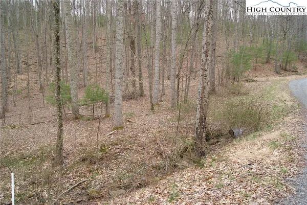 $20,700 | Lot 67 Laurel Mountain Drive, Sparta, NC 28675
