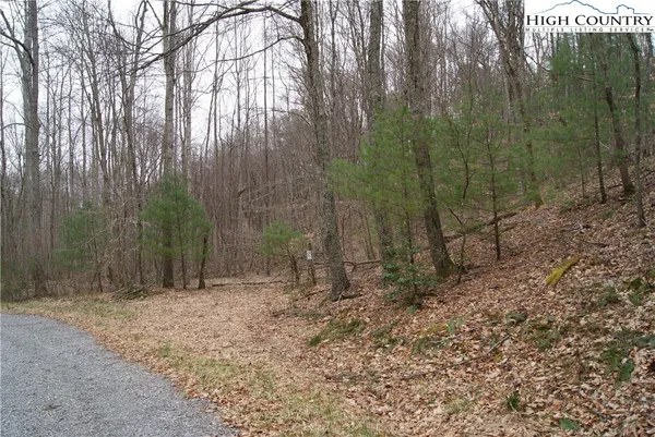 $20,700 | Lot 67 Laurel Mountain Drive, Sparta, NC 28675