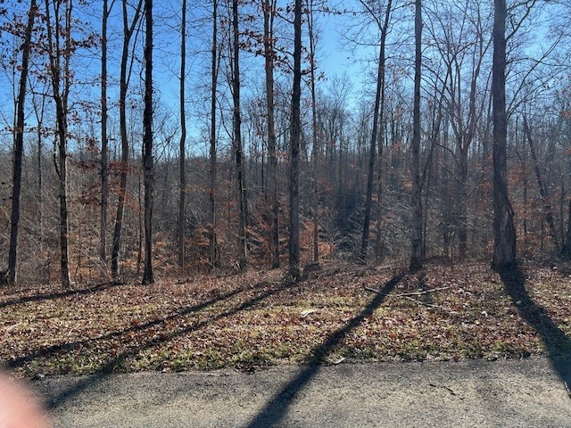 7 Slaughter Road North Primm Springs, TN 38476 - Photo 2 of 6 a view of a backyard with trees