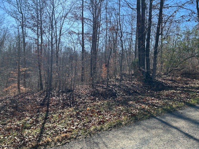7 Slaughter Road North Primm Springs, TN 38476 - Photo 5 of 6 a view of a yard with lots of plants and tree