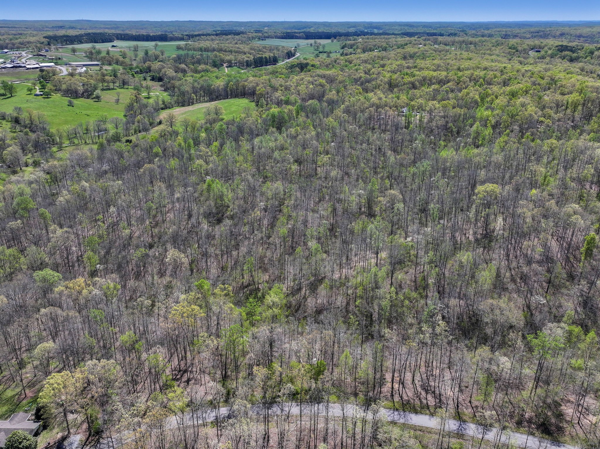 7 Slaughter Road North Primm Springs, TN 38476 - Photo 6 of 6 a view of a yard with an outdoor space