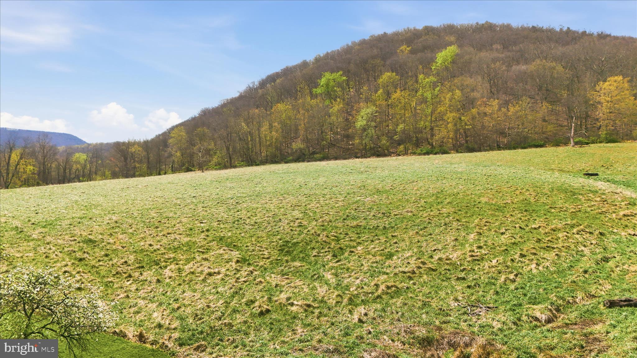 12623 Windy Ridge Drive Mount Savage, MD 21545 - Photo 67 of 72 a view of ocean
