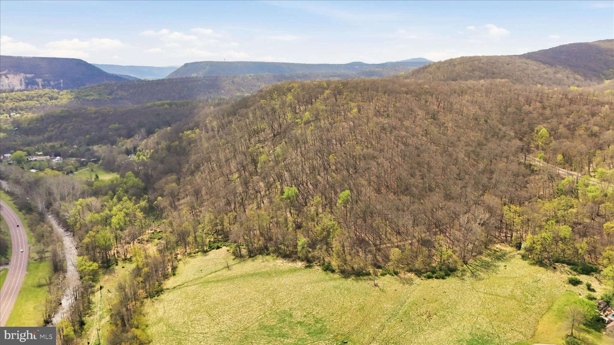 12623 Windy Ridge Drive Mount Savage, MD 21545 - Photo 69 of 72 a view of mountain with trees
