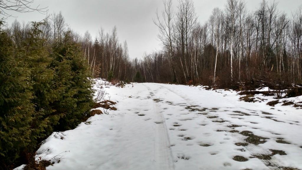Lot 12 Upper Dobsis Road Lakeville, ME 04487 - Photo 2 of 5 Photo