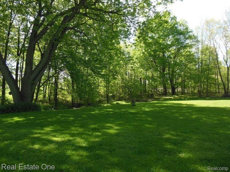 4747 Deal Road Fowlerville, MI 48836 - Photo 50 of 54 DSCN3094.JPG
