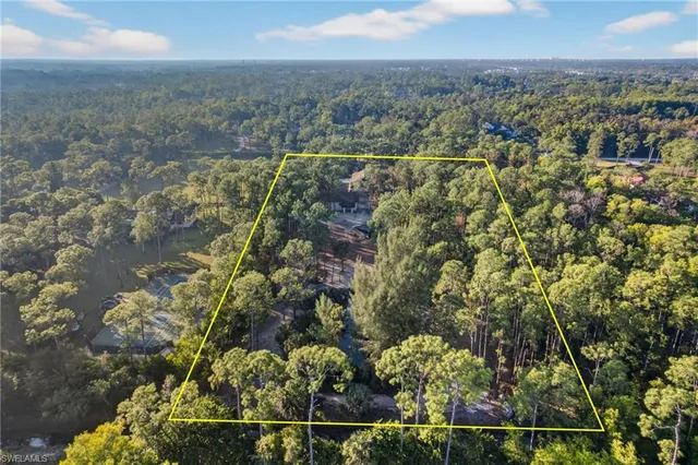 a view of a city with lots of trees