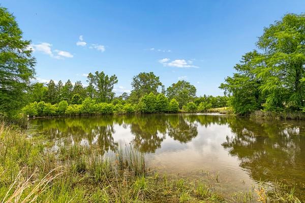 18081 Hillary Simmons Road Kentwood, LA 70444 - Photo 15 of 24