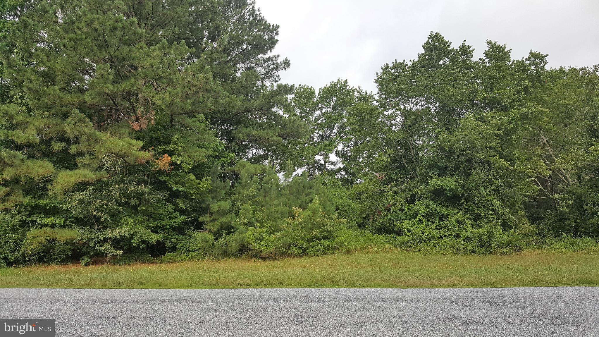 22568 Lawson Road Georgetown, DE 19947 - Photo 2 of 5 Gallery Image 2