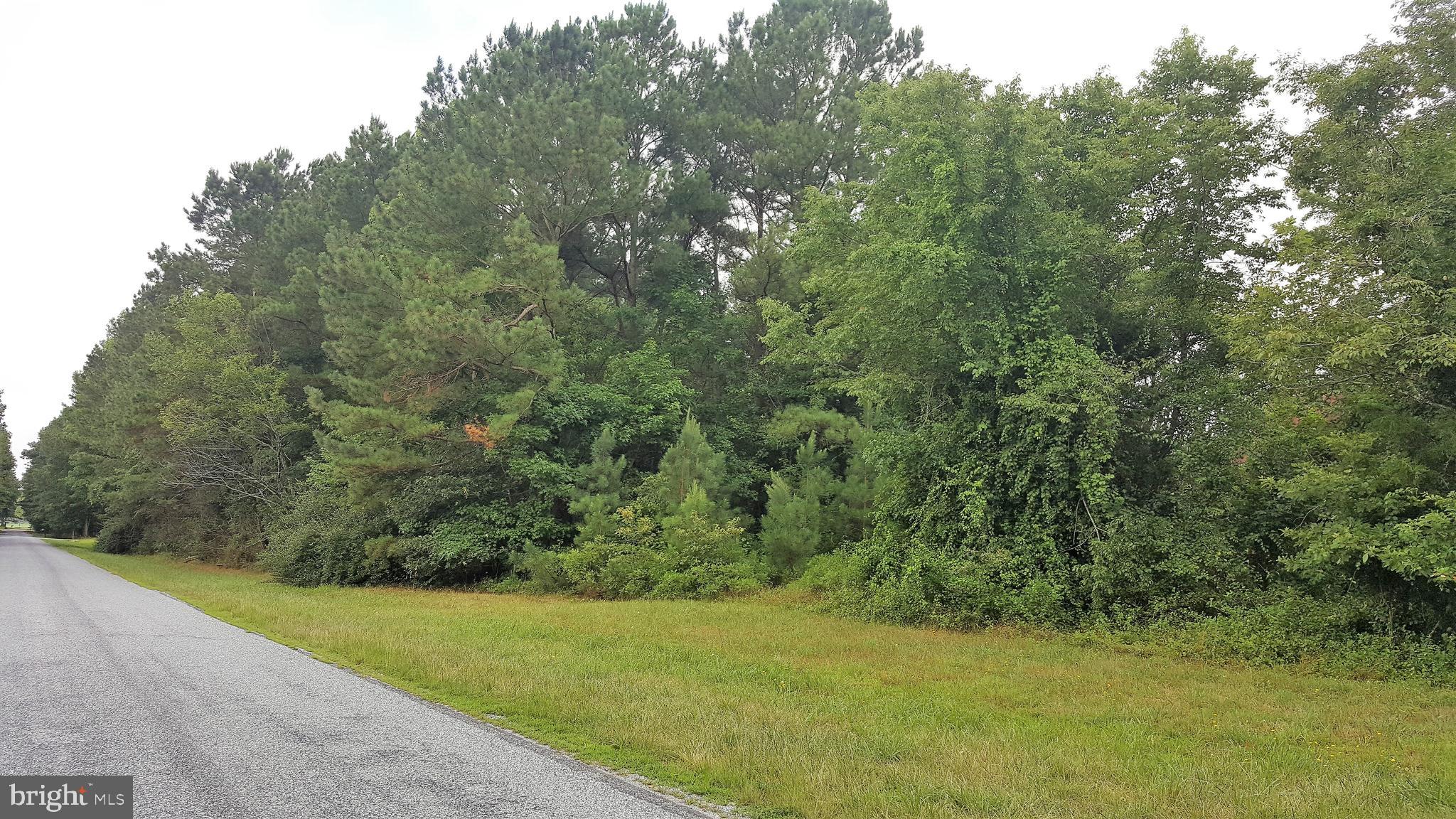 22568 Lawson Road Georgetown, DE 19947 - Photo 3 of 5 Gallery Image 3