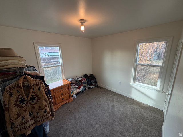 108 West 2nd South Grace, ID 83241 - Photo 12 of 20 Carpeted bedroom with multiple windows.