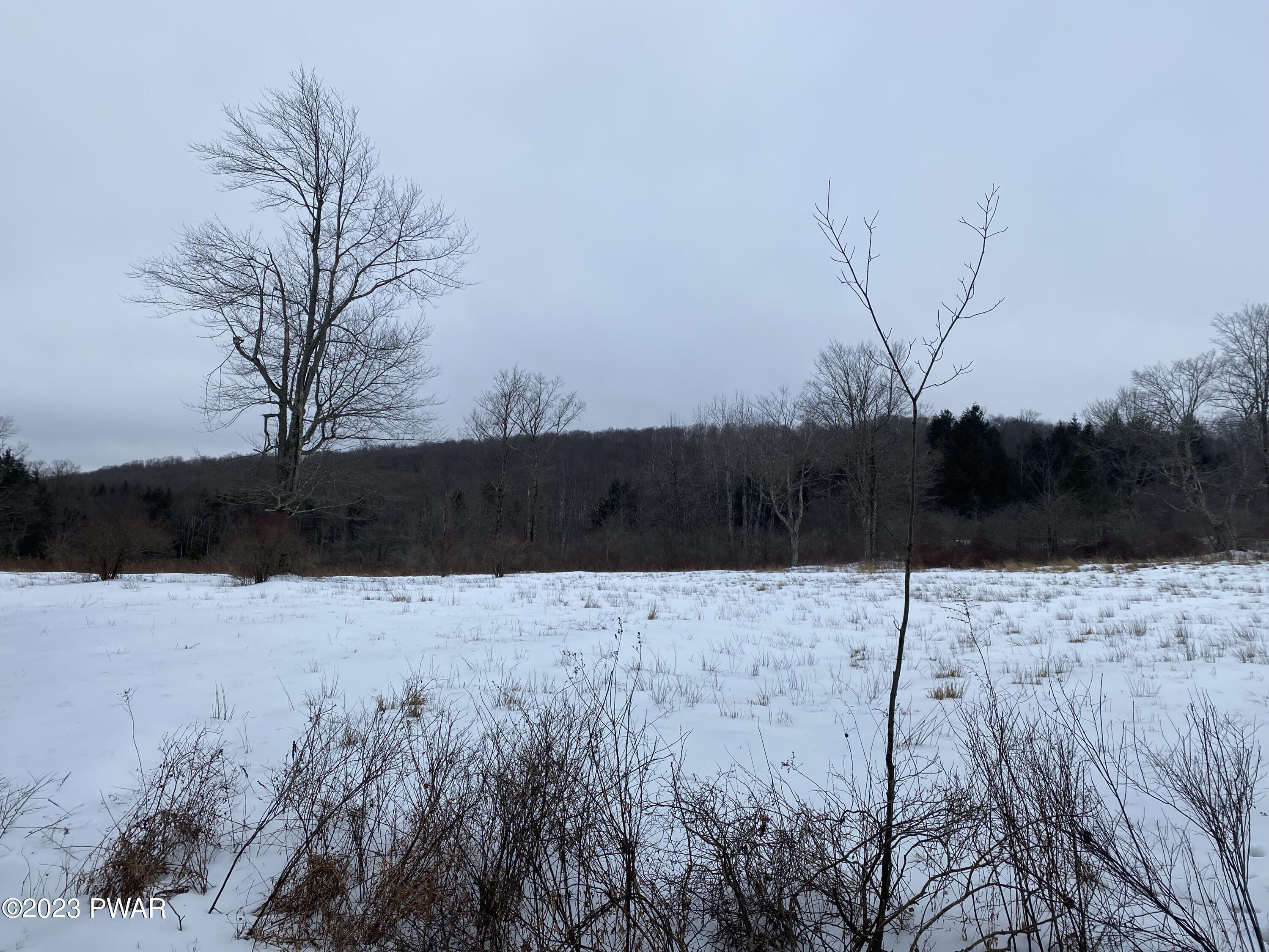 Hatchery Road Union Dale, PA 18470 - Photo 4 of 10