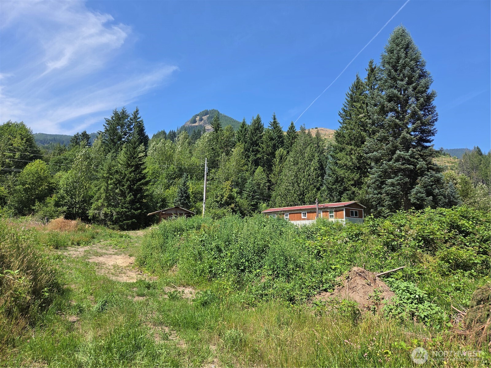 108 Savio Road East Randle, WA 98377 - Photo 33 of 33