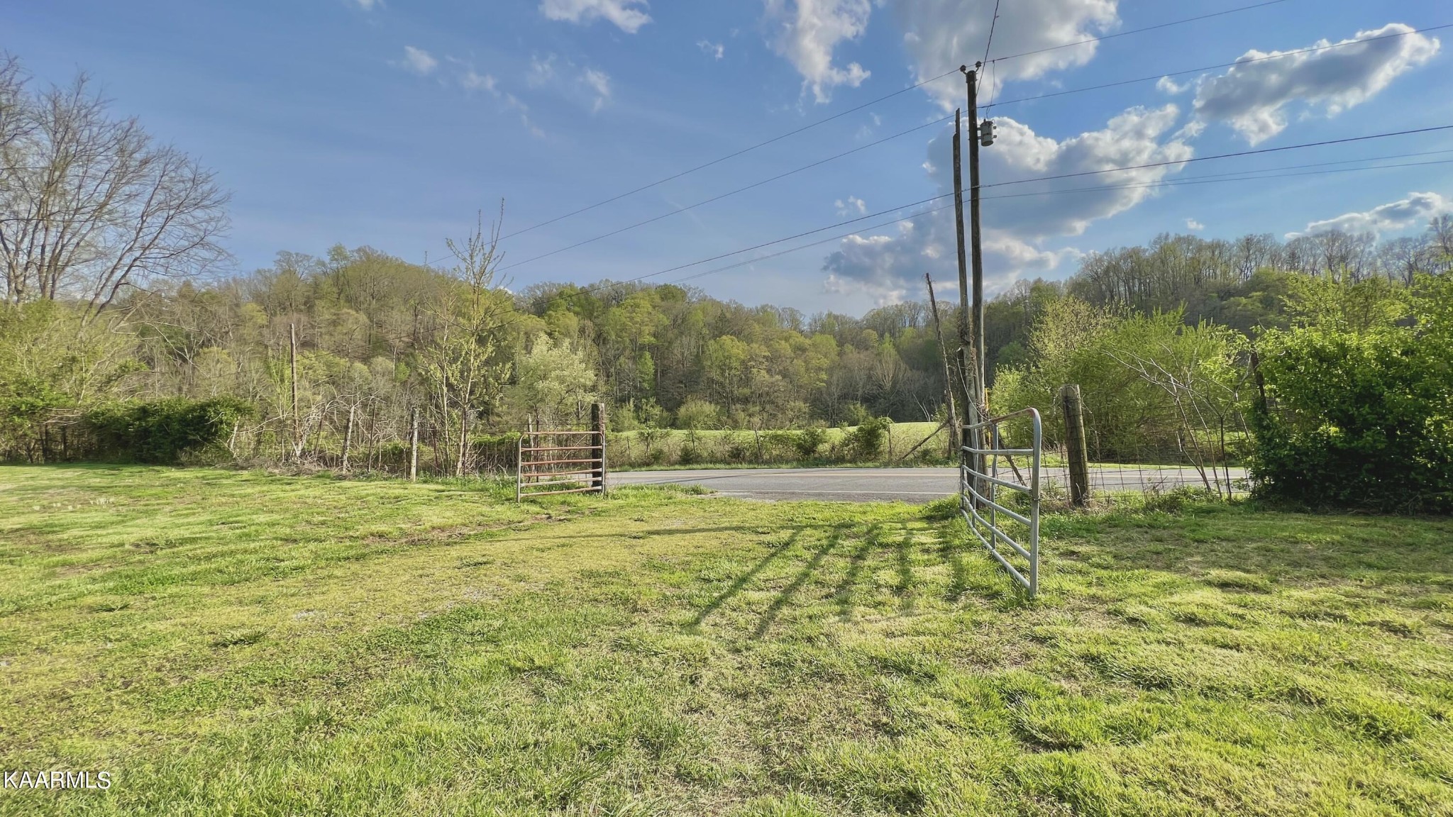 1560 Dripping Springs Road Seymour, TN 37865 - Photo 9 of 46