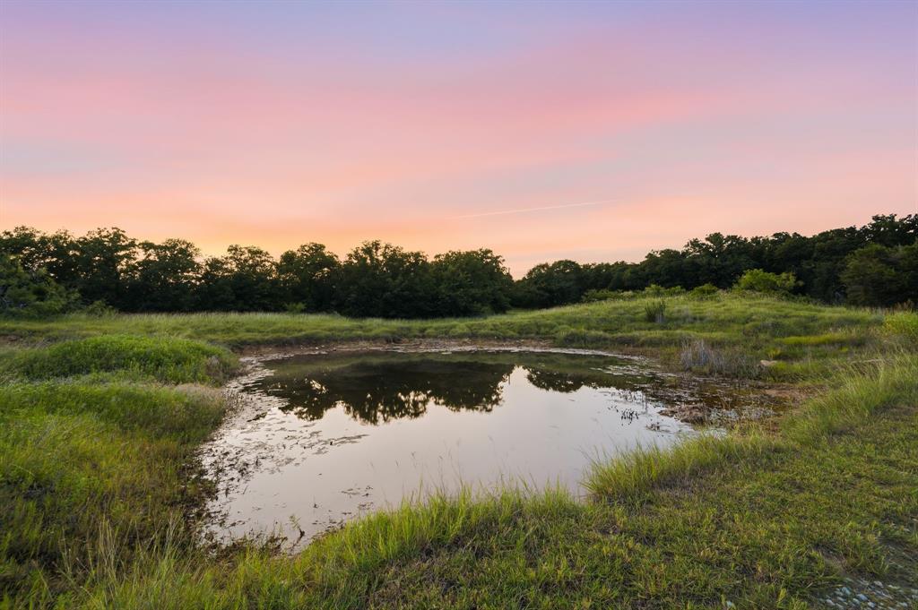 923 Natty Flat Road Lipan, TX 76462 - Photo 4 of 40