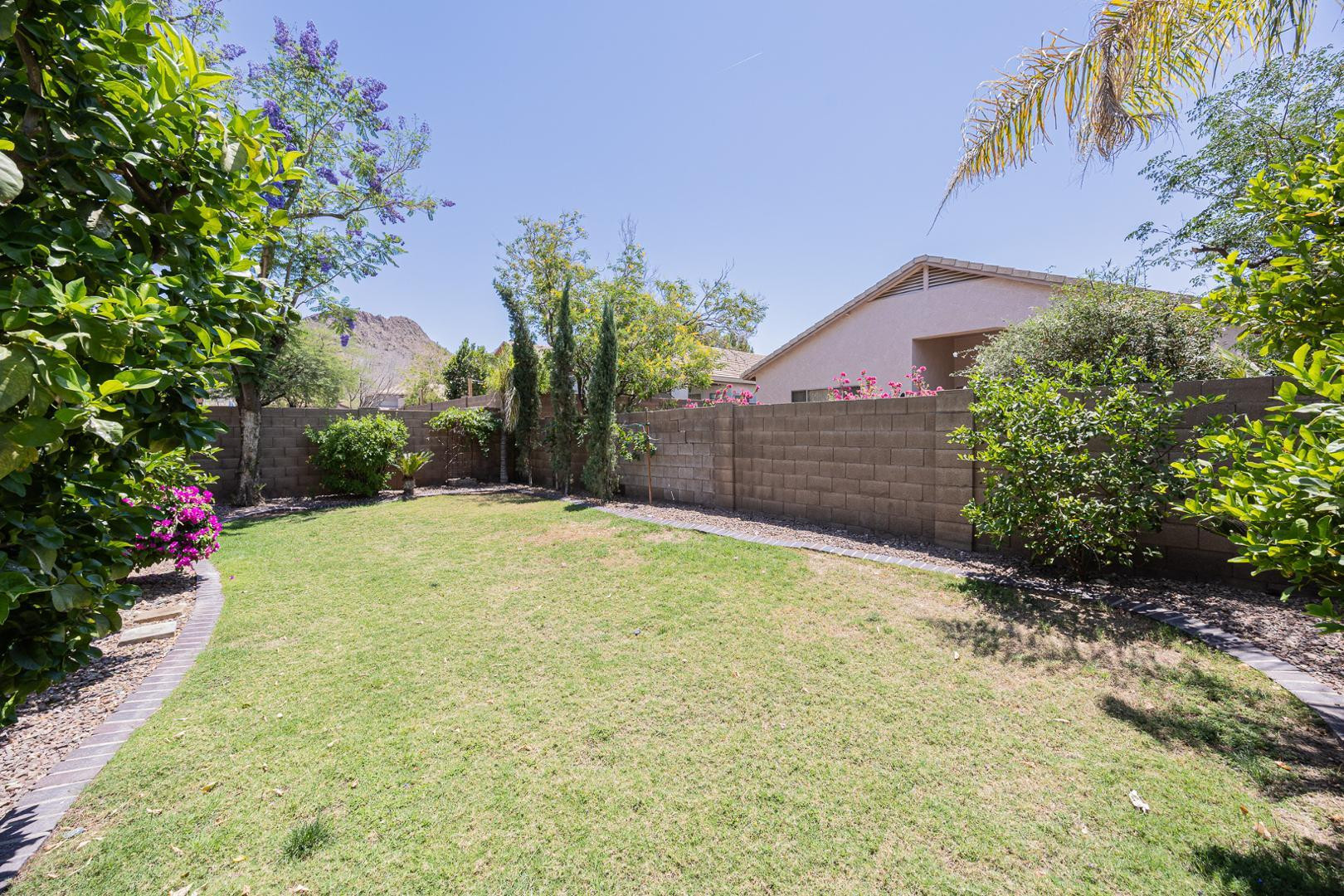 6539 West Jomax Road Phoenix, AZ 85083 - Photo 32 of 39 a view of a backyard