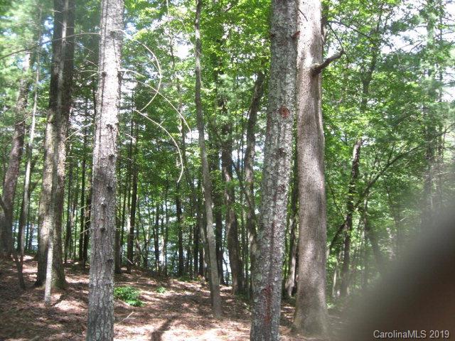 3 Powerhouse Road, Unit 3 Nebo, NC 28761 - Photo 2 of 5 Gallery Image 2