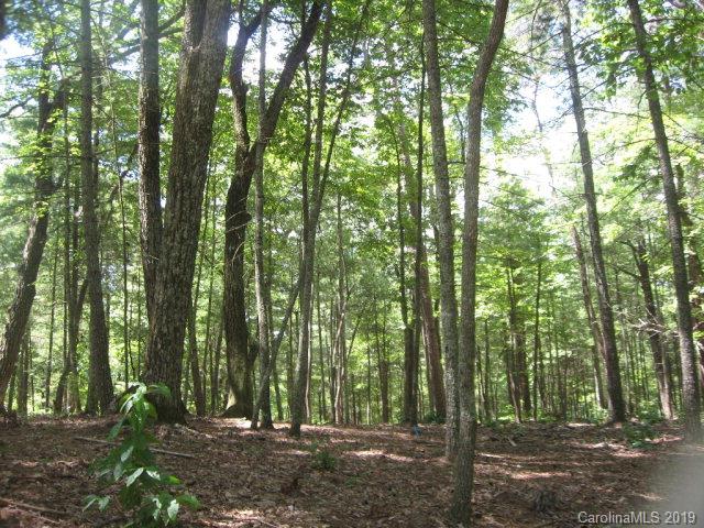 3 Powerhouse Road, Unit 3 Nebo, NC 28761 - Photo 3 of 5 Gallery Image 3