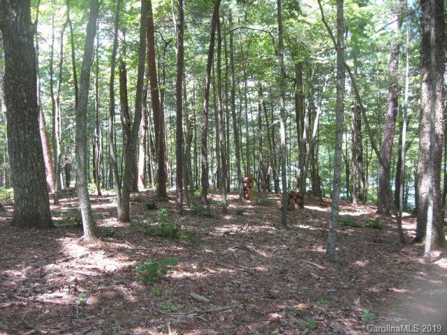3 Powerhouse Road, Unit 3 Nebo, NC 28761 - Photo 5 of 5 Gallery Image 5
