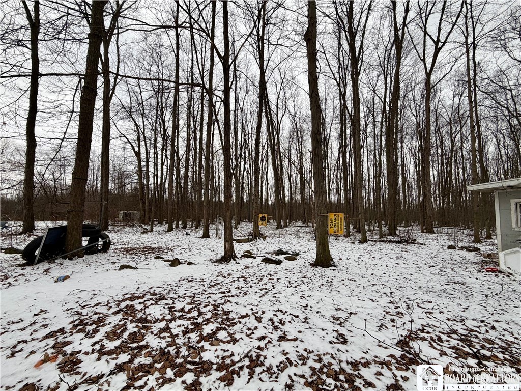 3619 New Road Dunkirk, NY 14048 - Photo 3 of 16