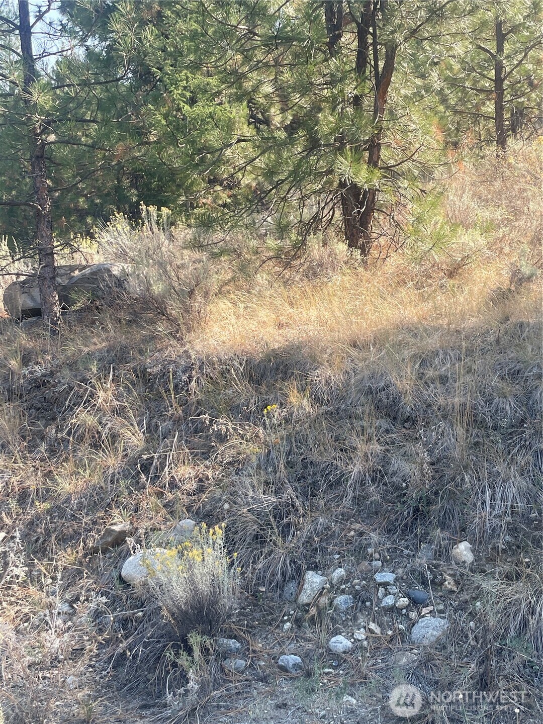 -tbd Reevas Basin Road Tonasket, WA 98855 - Photo 19 of 38