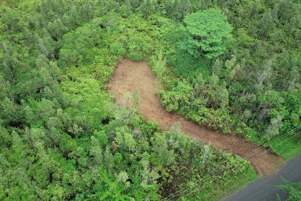 2709 Lot Avenue Keaau, HI 96749 - Photo 5 of 12 a view of a forest with a yard