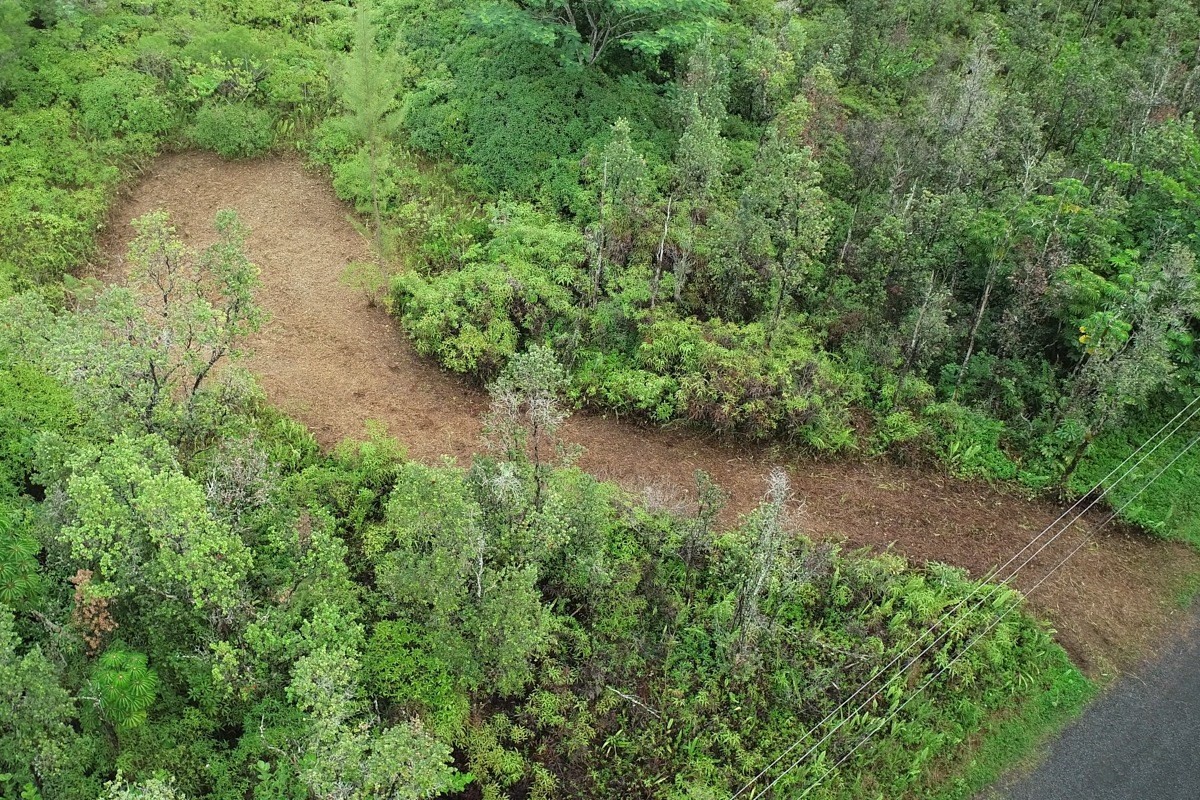 2709 Lot Avenue Keaau, HI 96749 - Photo 6 of 12 a view of a green yard with large trees
