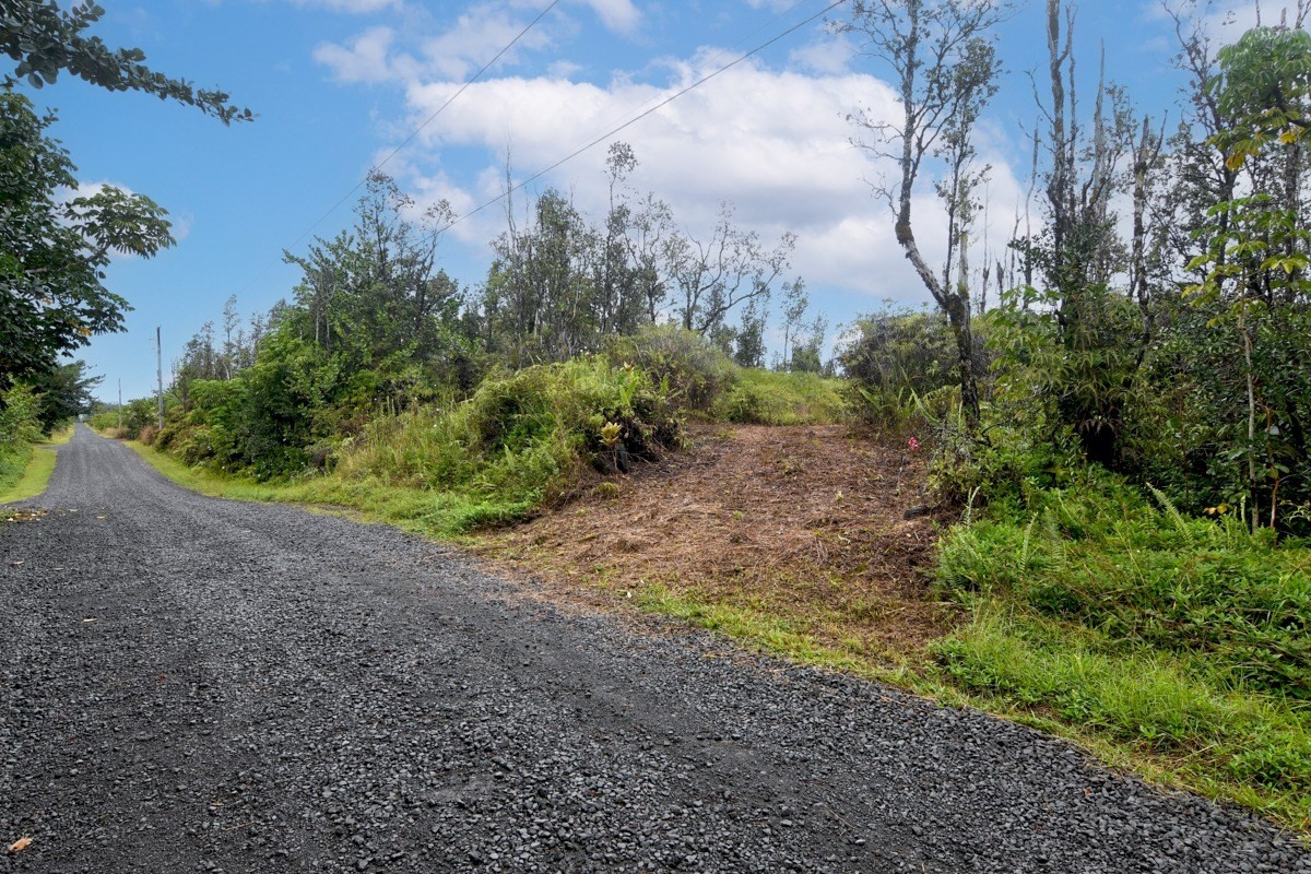 2709 Lot Avenue Keaau, HI 96749 - Photo 7 of 12 a view of a yard with plants and a trees