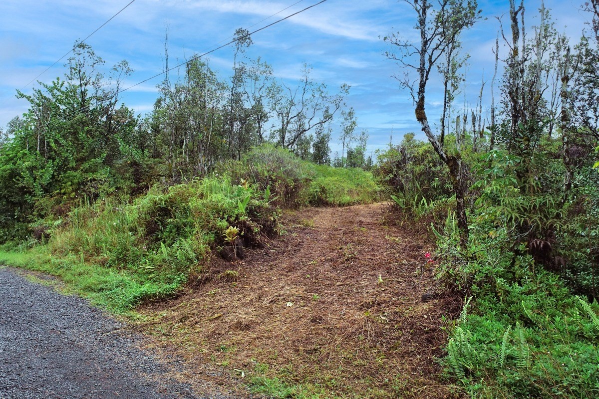 2709 Lot Avenue Keaau, HI 96749 - Photo 8 of 12 a view of a yard with plants and a building