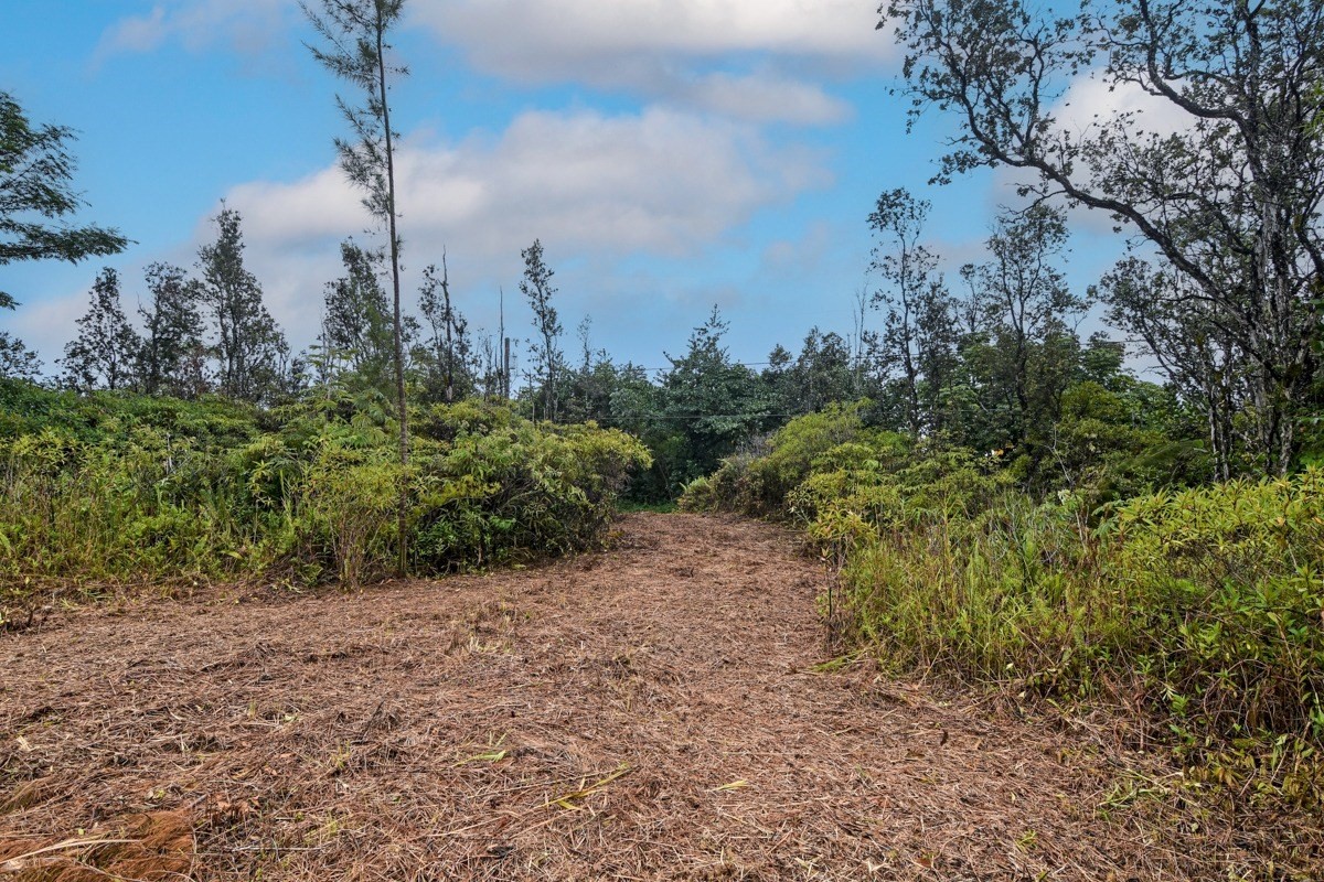 2709 Lot Avenue Keaau, HI 96749 - Photo 10 of 12 a view of a city with large trees