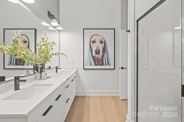 $1,785 | 536 West Tremont Avenue, Unit A3, Charlotte, NC 28203