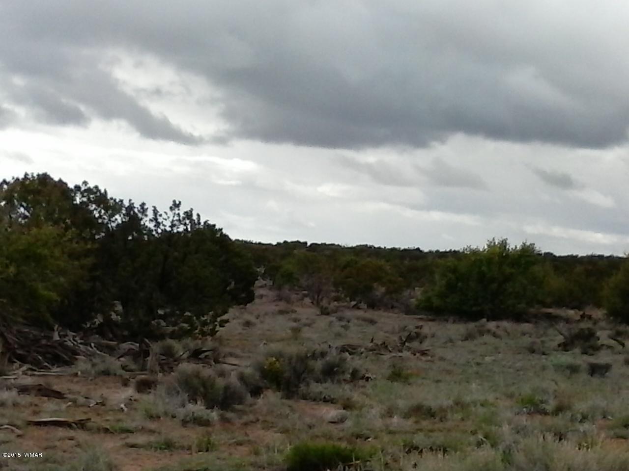 002 Sec 17 T18n R28e St. Johns, AZ 85936 - Photo 1 of 5