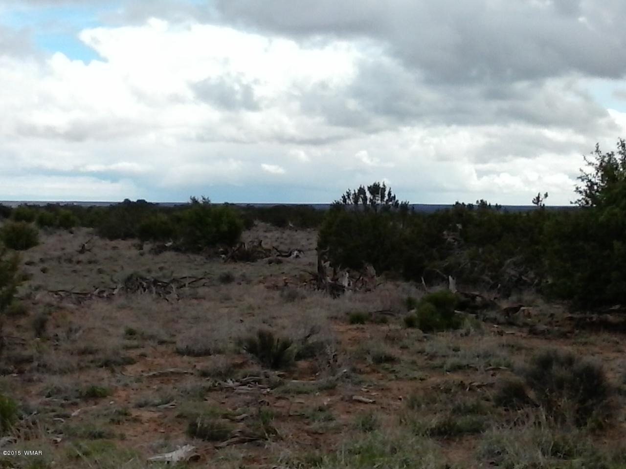 002 Sec 17 T18n R28e St. Johns, AZ 85936 - Photo 3 of 5