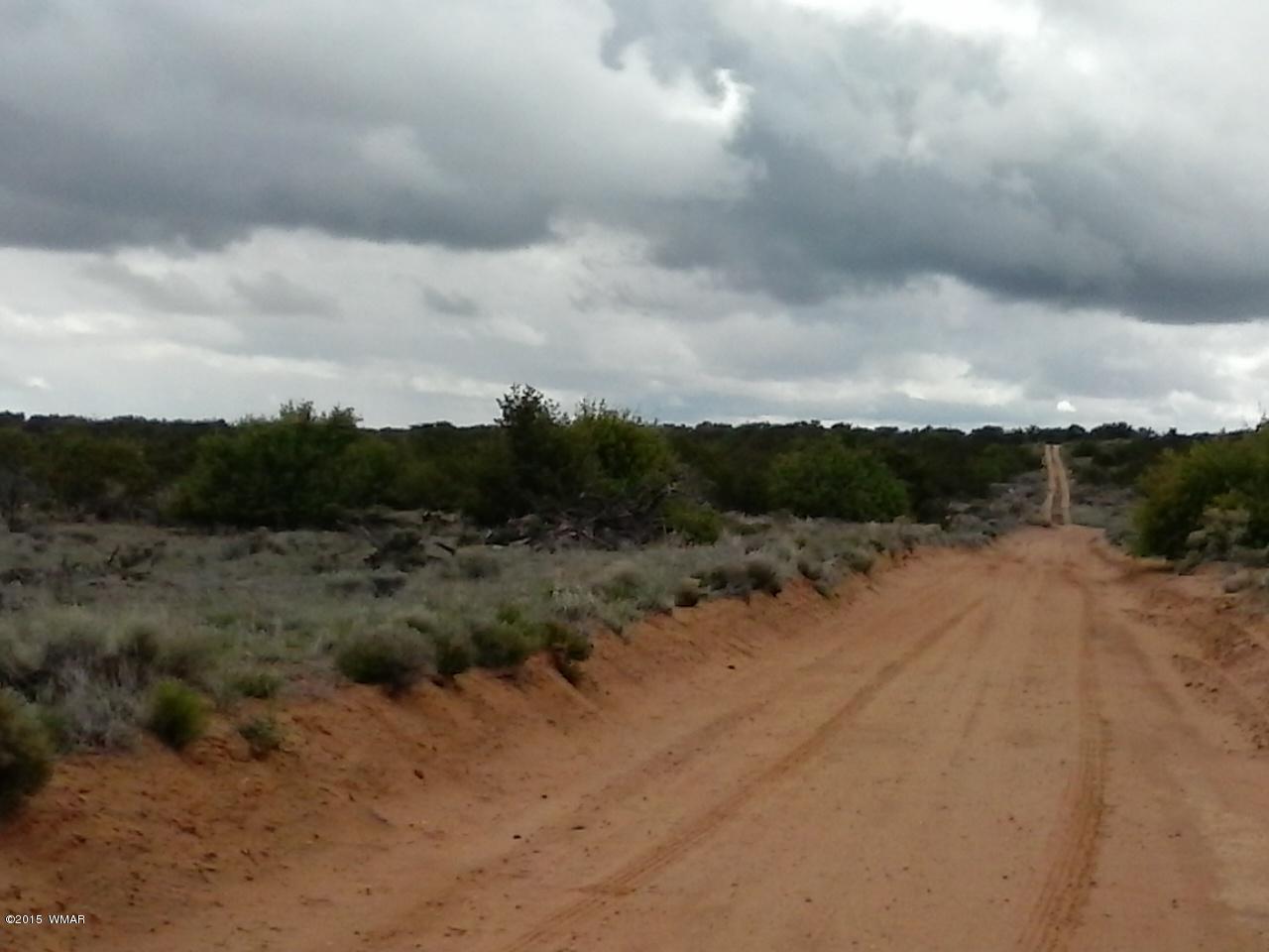002 Sec 17 T18n R28e St. Johns, AZ 85936 - Photo 5 of 5