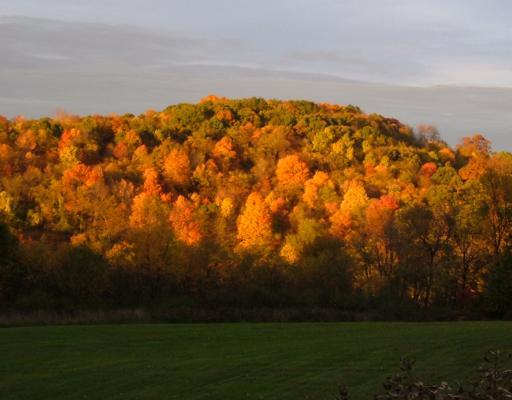219 Teets Road Rochester, PA 15074 - Photo 3 of 18 View. Valley during fall