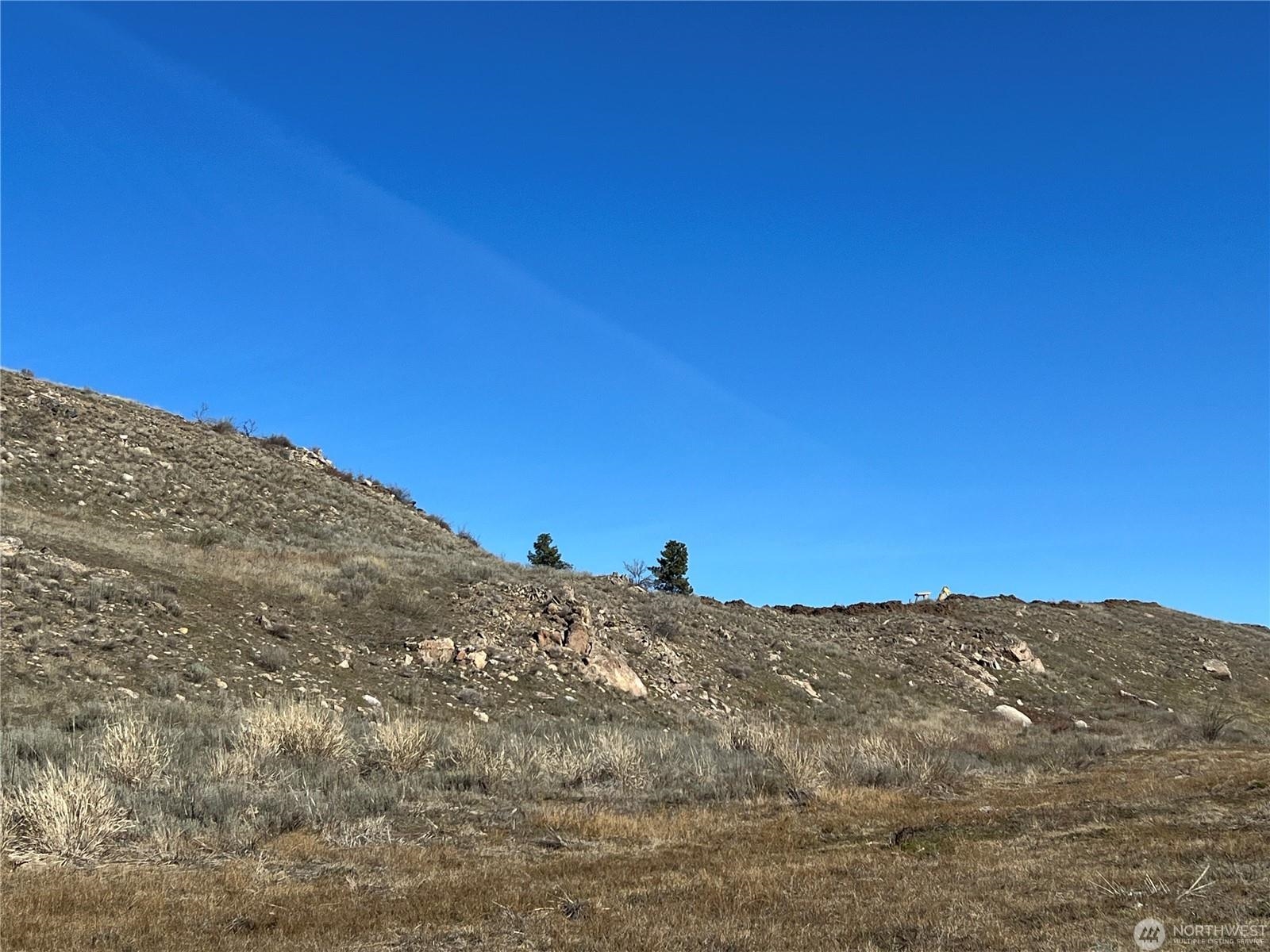 Nna Nna Soap Lake Road Malott, WA 98829 - Photo 11 of 12