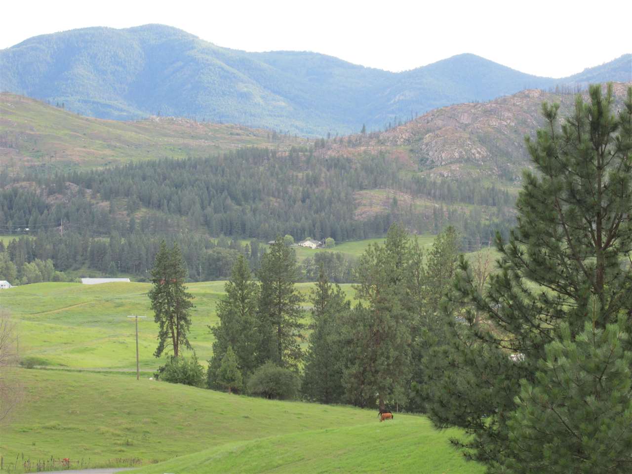 991 Westover Road Colville, WA 99114 - Photo 1 of 17 Gallery Image 1