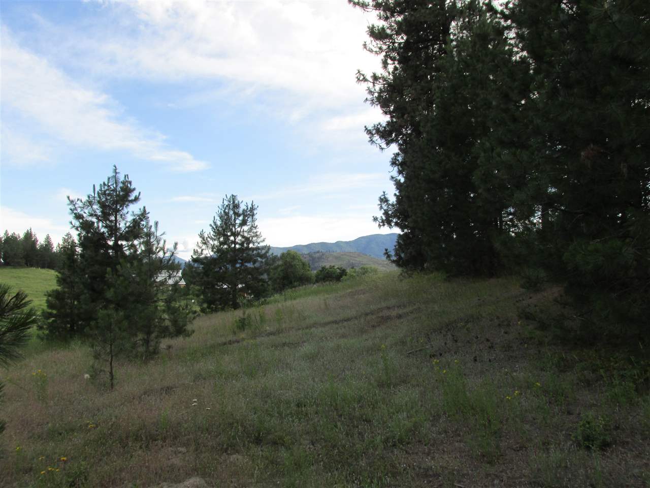 991 Westover Road Colville, WA 99114 - Photo 14 of 17 Gallery Image 14