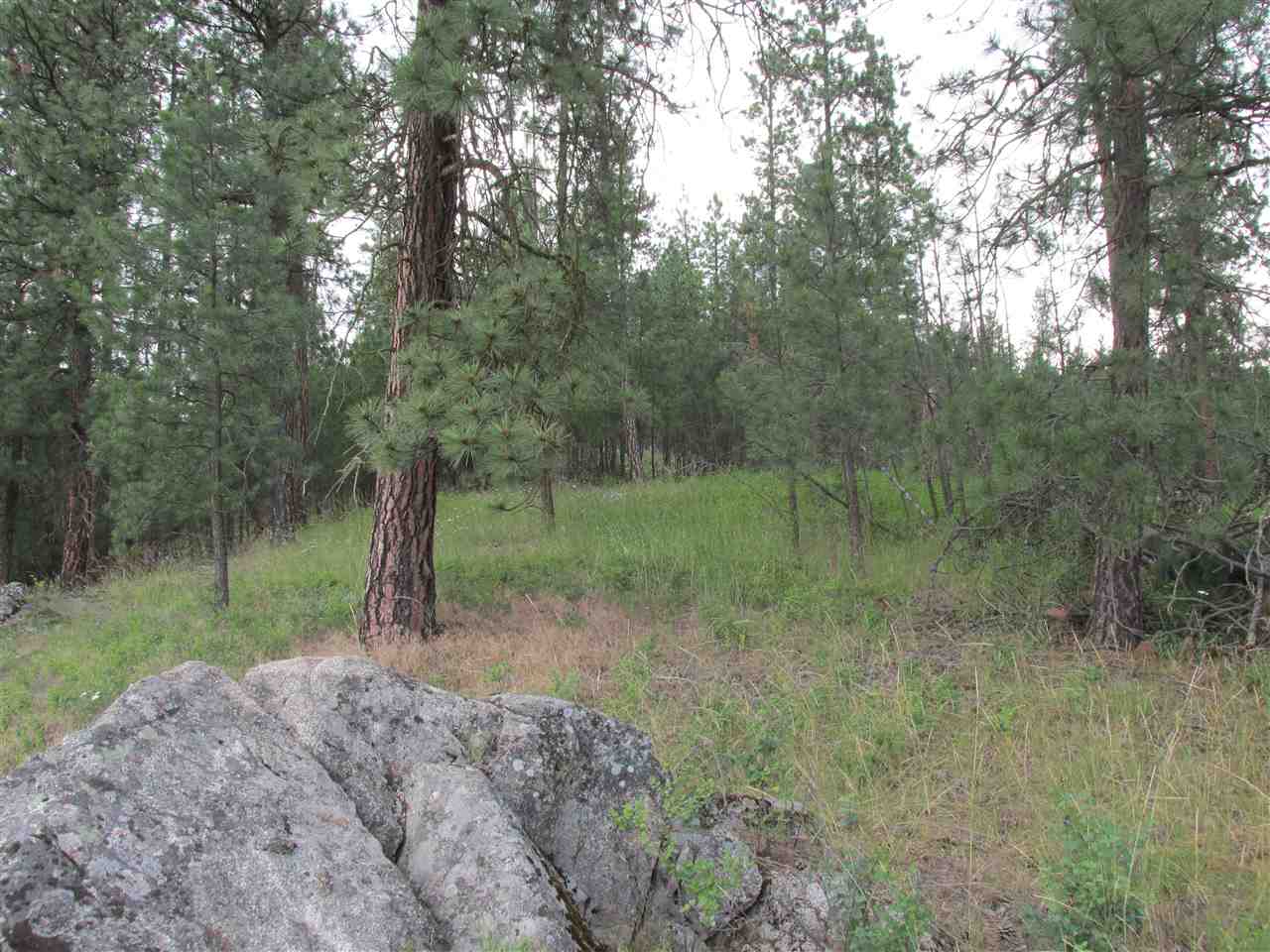991 Westover Road Colville, WA 99114 - Photo 5 of 17 Gallery Image 5
