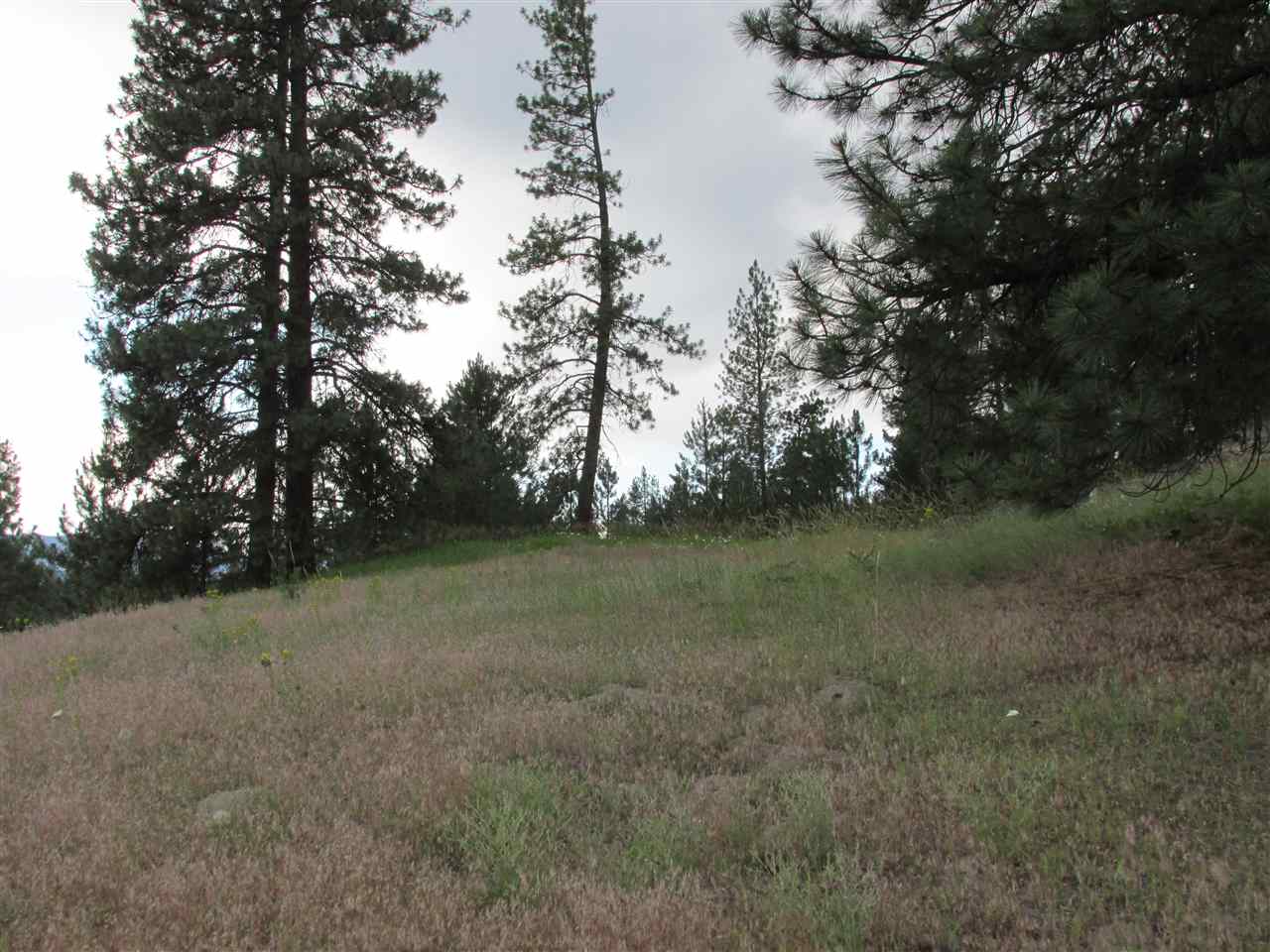 991 Westover Road Colville, WA 99114 - Photo 6 of 17 Gallery Image 6