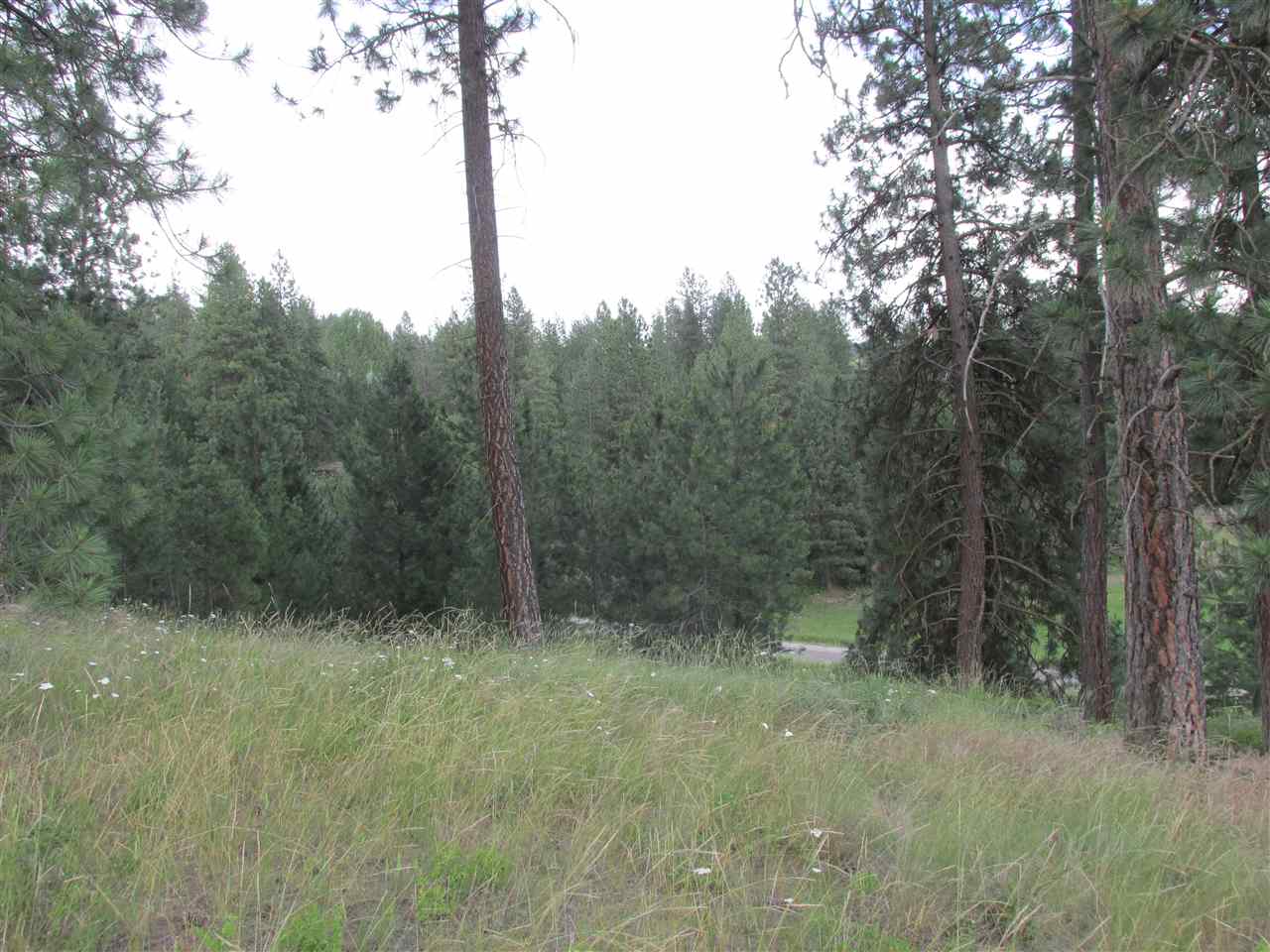 991 Westover Road Colville, WA 99114 - Photo 7 of 17 Gallery Image 7