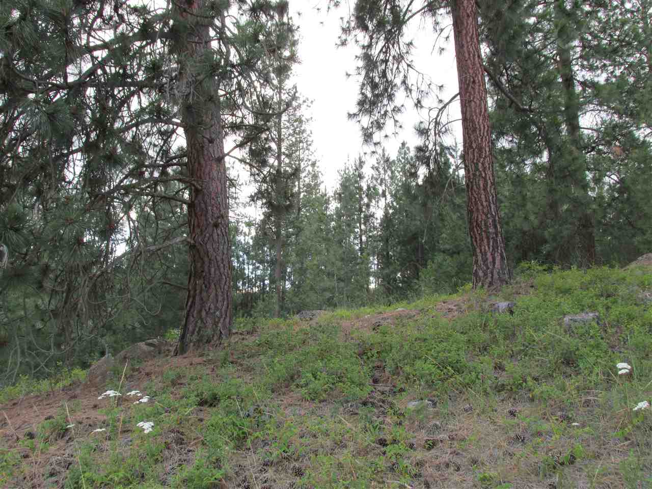 991 Westover Road Colville, WA 99114 - Photo 8 of 17 Gallery Image 8