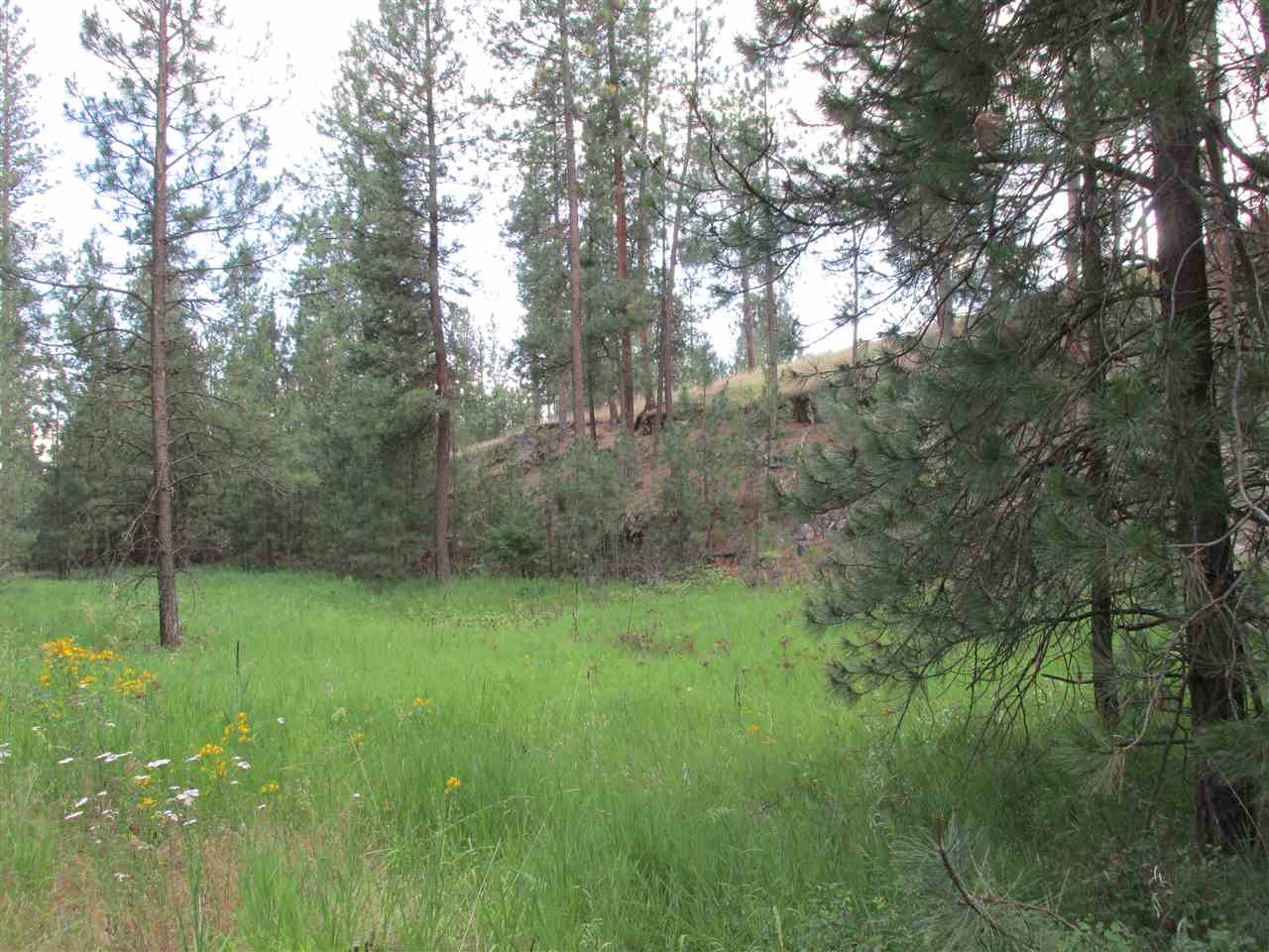 991 Westover Road Colville, WA 99114 - Photo 9 of 17 Gallery Image 9