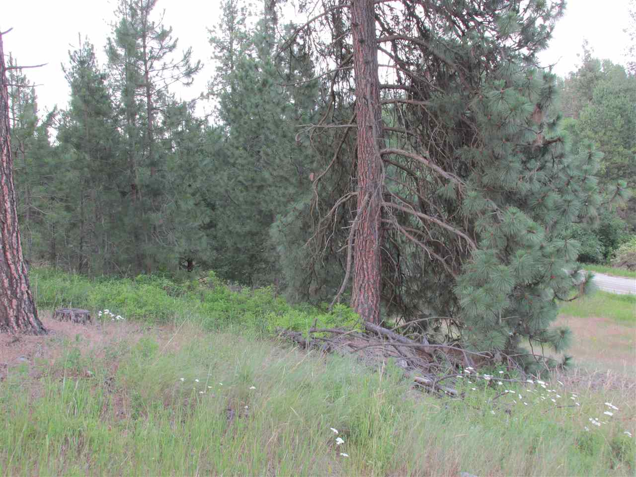 991 Westover Road Colville, WA 99114 - Photo 10 of 17 Gallery Image 10
