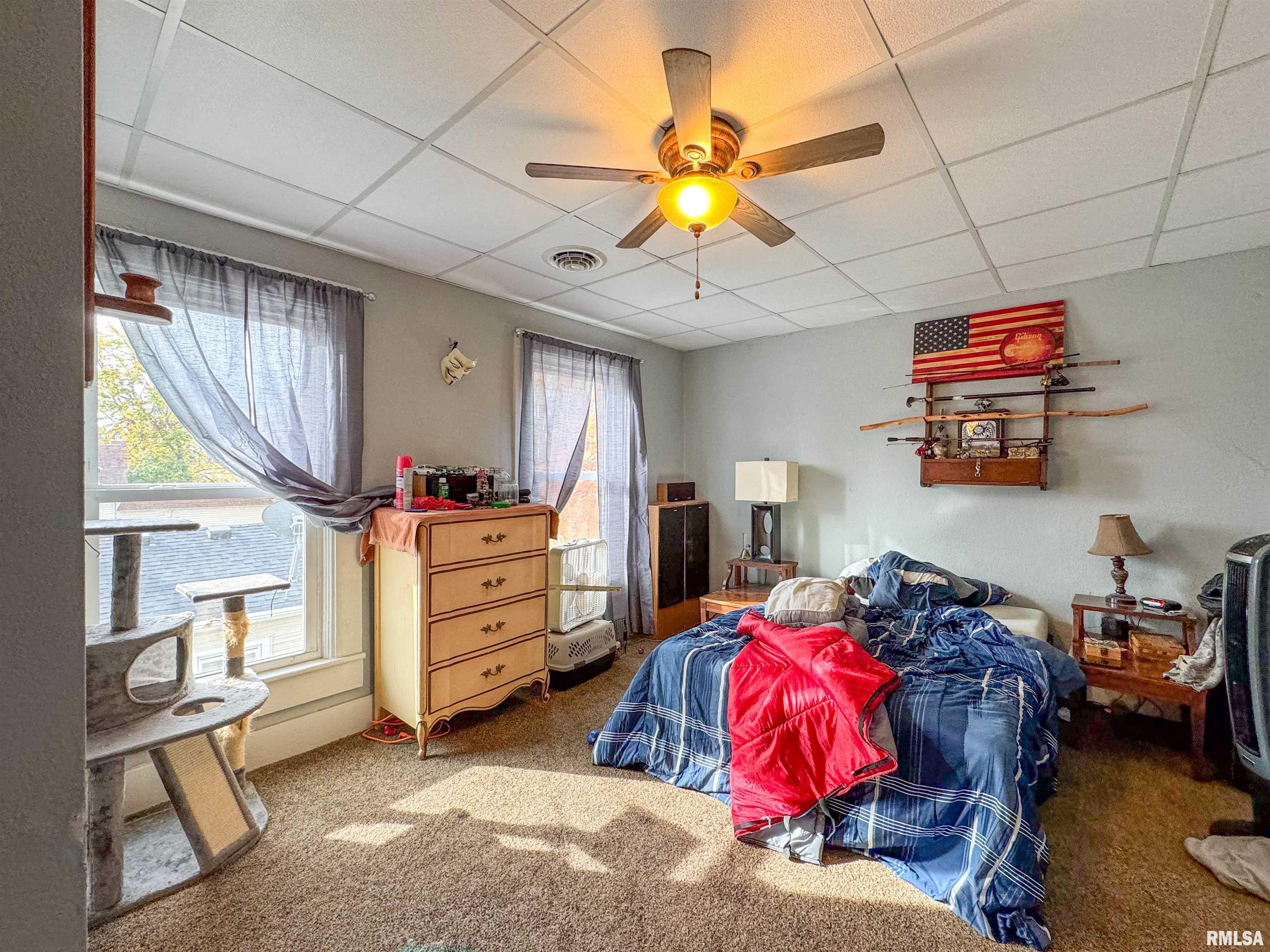 734 Locust Street Minonk, IL 61760 - Photo 13 of 28