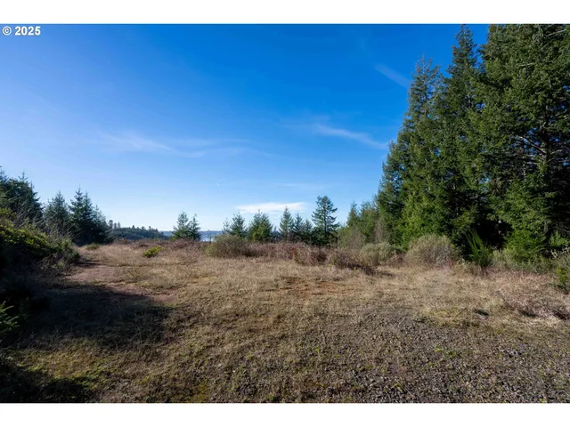 a view of a yard with a tree