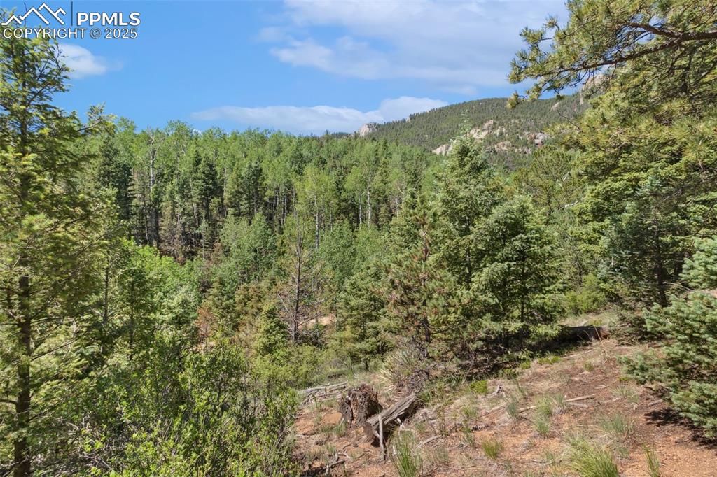 6050 Coffee Pot Road Manitou Springs, CO 80829 - Photo 13 of 34