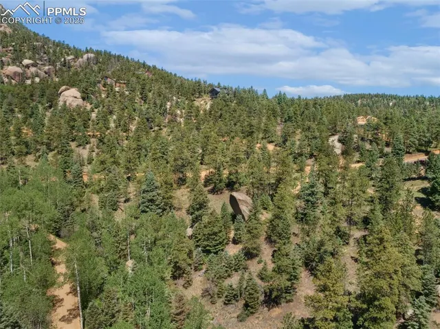 a view of a yard with trees
